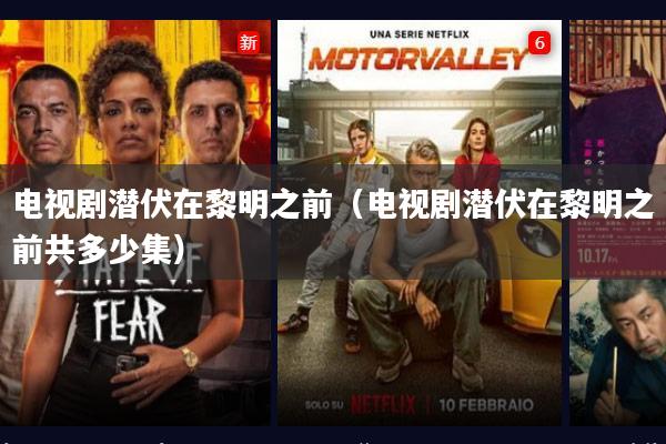 电视剧潜伏在黎明之前（电视剧潜伏在黎明之前共多少集）