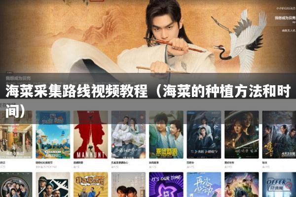 海菜采集路线视频教程(海菜的种植方法和时间)