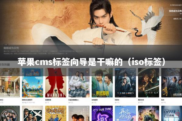 苹果cms标签向导是干嘛的（iso标签）