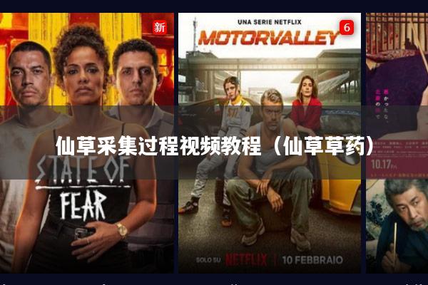 仙草采集过程视频教程（仙草草药）