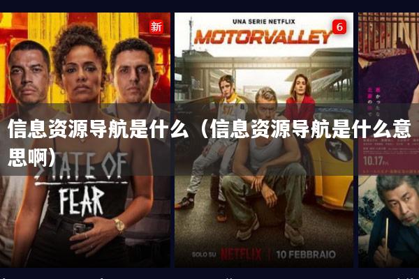 信息资源导航是什么（信息资源导航是什么意思啊）